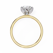 Radiant Star Soul Ladies Ring (LR14126)