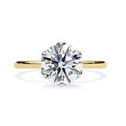 Radiant Star Soul Ladies Ring (LR14126)