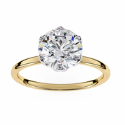Radiant Star Soul Ladies Ring (LR14126)