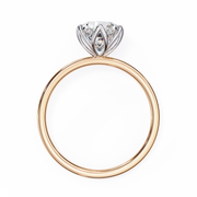 Radiant Star Soul Ladies Ring (LR14126)