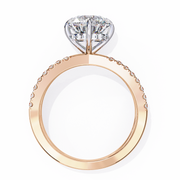 Pretty Braided Infatuation Ladies Ring (LR14133)