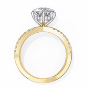 Pretty Braided Infatuation Ladies Ring (LR14133)