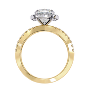 Ethereal Shared-Prong Shade Ladies Ring (LR14151)