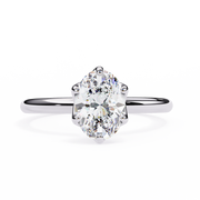 Incandescent Butterfly Framework Ladies Ring (LR14152)