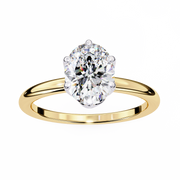 Incandescent Butterfly Framework Ladies Ring (LR14152)