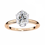 Incandescent Butterfly Framework Ladies Ring (LR14152)