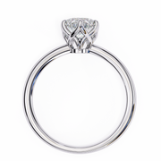 Incandescent Butterfly Framework Ladies Ring (LR14152)
