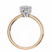 Incandescent Butterfly Framework Ladies Ring (LR14152)