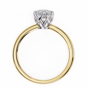 Incandescent Butterfly Framework Ladies Ring (LR14152)
