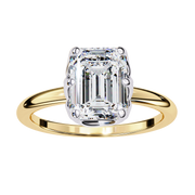 Exquisite Dragon Dream Ladies Ring (LR14153)