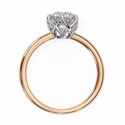 Enchanting Tree Whisper Ladies Ring (LR14155)
