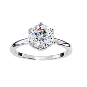 Enchanting Tree Whisper Ladies Ring (LR14155)