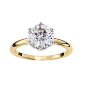 Enchanting Tree Whisper Ladies Ring (LR14155)