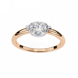 Magnificent Wing Heart Ladies Ring (LR14192)