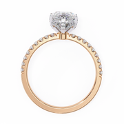 Gorgeous Shared-Prong Nerve Ladies Ring (LR14194)