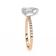 Gorgeous Shared-Prong Nerve Ladies Ring (LR14194)