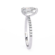 Gorgeous Shared-Prong Nerve Ladies Ring (LR14194)