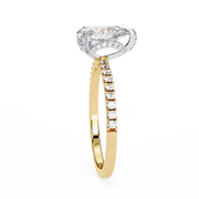 Gorgeous Shared-Prong Nerve Ladies Ring (LR14194)