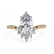 Hypnotic Bypass Adoration Ladies Ring (LR14195)