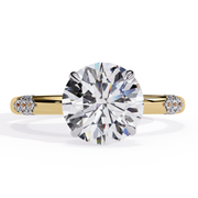 Magnificent Fairy Contour Ladies Ring (LR14214)