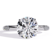 Magnificent Fairy Contour Ladies Ring (LR14214)