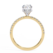 Shimmering Basket Echo Ladies Ring (LR14225)