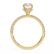 Shimmering Basket Echo Ladies Ring (LR14225)