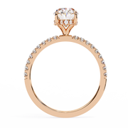 Shimmering Basket Echo Ladies Ring (LR14225)
