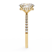 Shimmering Basket Echo Ladies Ring (LR14225)
