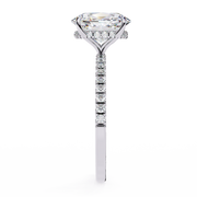 Shimmering Basket Echo Ladies Ring (LR14225)