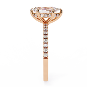 Effervescent Wing Desire Ladies Ring (LR14228)