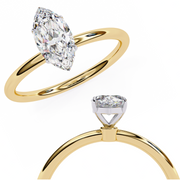 Astral Flush Specter Ladies Ring (LR14244)