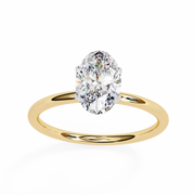 Grand Butterfly Body Ladies Ring (LR14246)