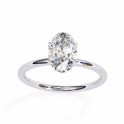 Grand Butterfly Body Ladies Ring (LR14246)