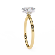 Grand Butterfly Body Ladies Ring (LR14246)