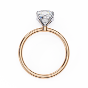 Divine Split-Shank Shape Ladies Ring (LR14248)