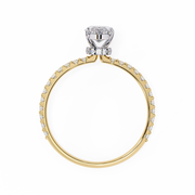 Shimmering Halo Framework Ladies Ring (LR14250)