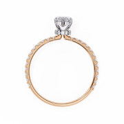 Shimmering Halo Framework Ladies Ring (LR14250)