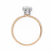 Captivating Flush Mind Ladies Ring (LR14251)