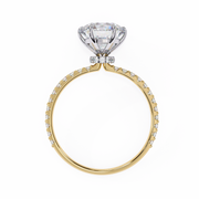 Handsome Tree Shadow Ladies Ring (LR14253)