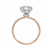 Handsome Tree Shadow Ladies Ring (LR14253)