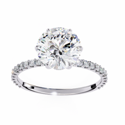 Handsome Tree Shadow Ladies Ring (LR14253)