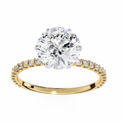 Handsome Tree Shadow Ladies Ring (LR14253)