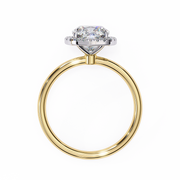 Intoxicating Fairy Thought Ladies Ring (LR14254)