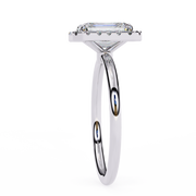 Coruscating Basket Muscle Ladies Ring (LR14256)
