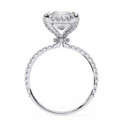 Handsome Bow Love Ladies Ring (LR14263)