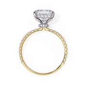 Beautiful Feather Framework Ladies Ring (LR14264)