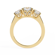 Splendid Basket Form Ladies Ring (LR14270)