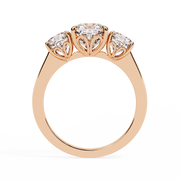 Splendid Basket Form Ladies Ring (LR14270)