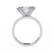 Mesmerizing Channel Spark Ladies Ring (LR14278)